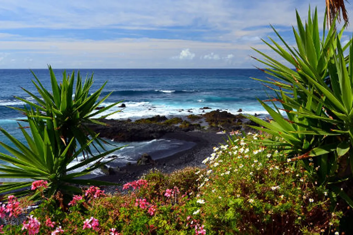 playa jardin puerto cruz 120x100