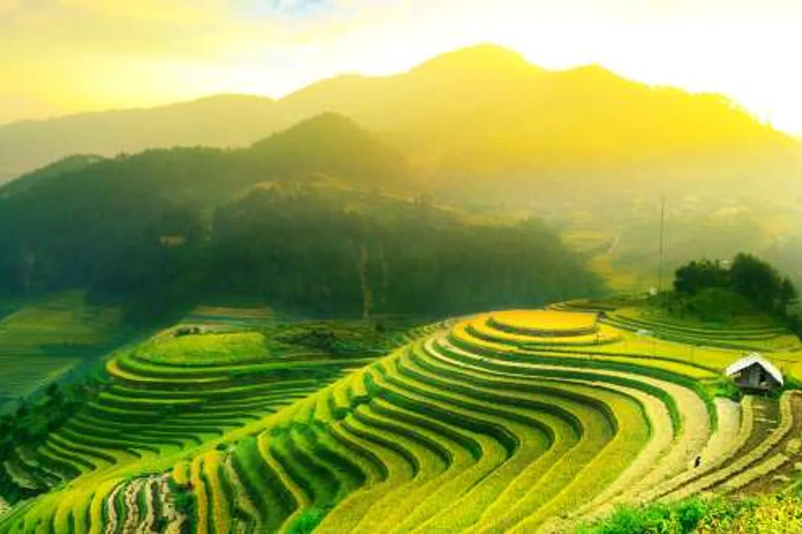 Vietnam verde 120x100