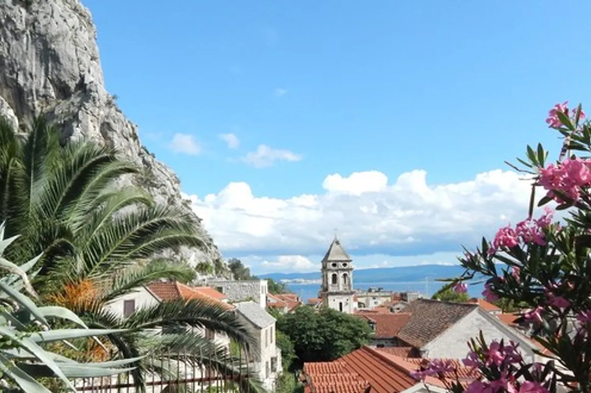 croacia omis 120x100