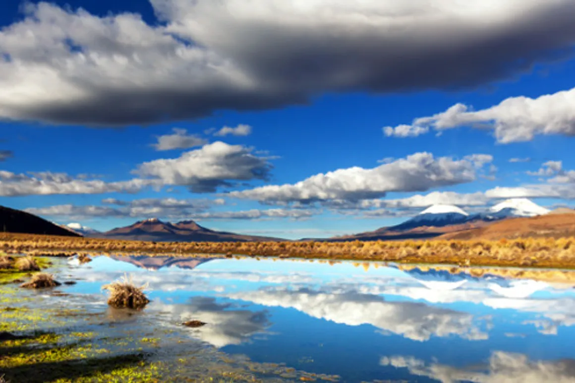 bolivia 120x100