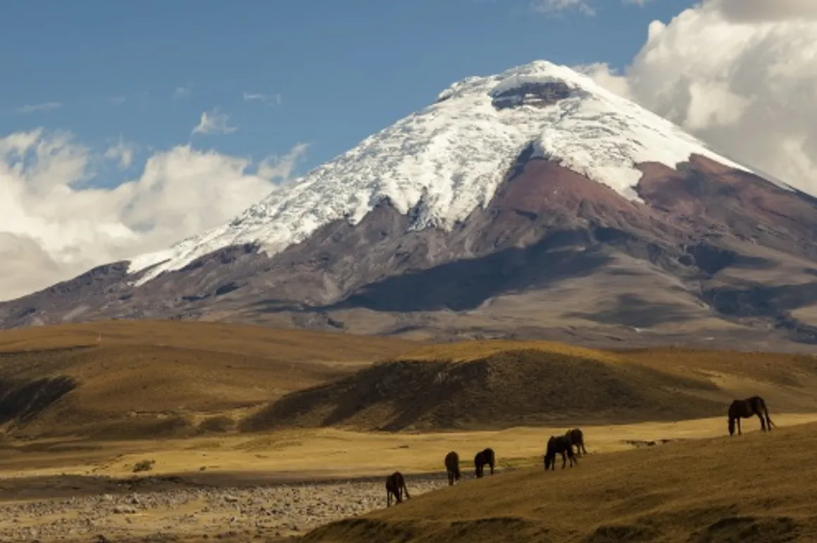 Portada_Cotopaxi 120x100