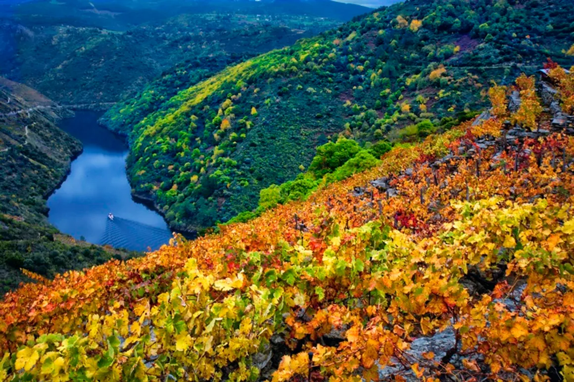 ribeira sacra galicia 150x150