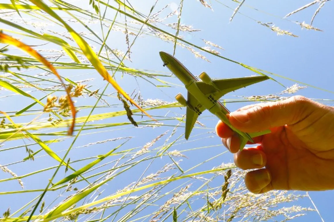 blooming meadow with airplane model in spring picture id1227308643 150x150