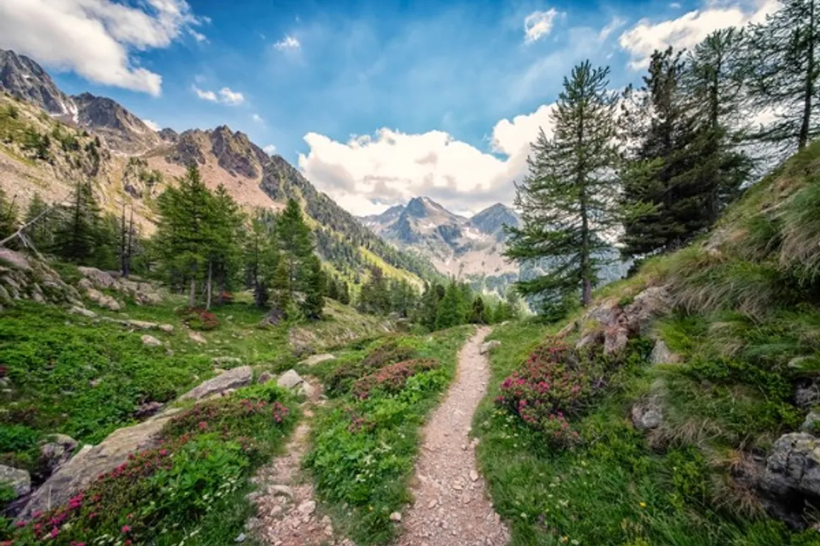 landscape in south of france picture id1255215588 150x150