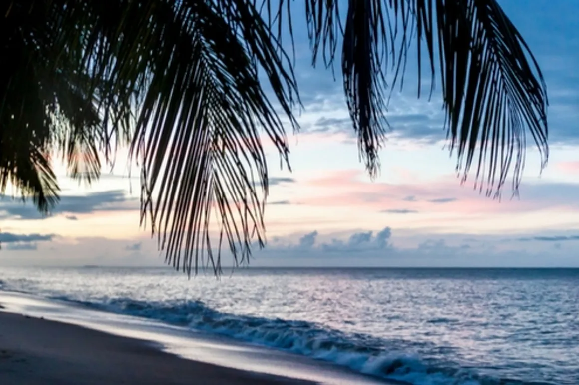 Guyane_cover 120x100