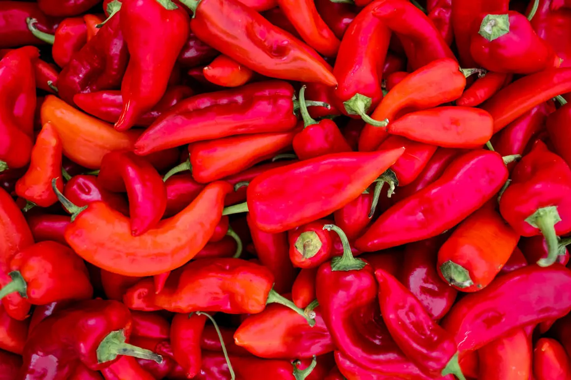 Piments 1