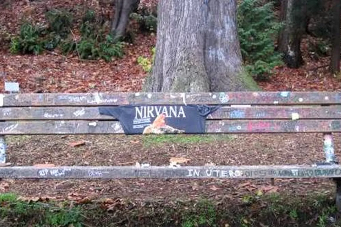 nirvana seattle 120x100