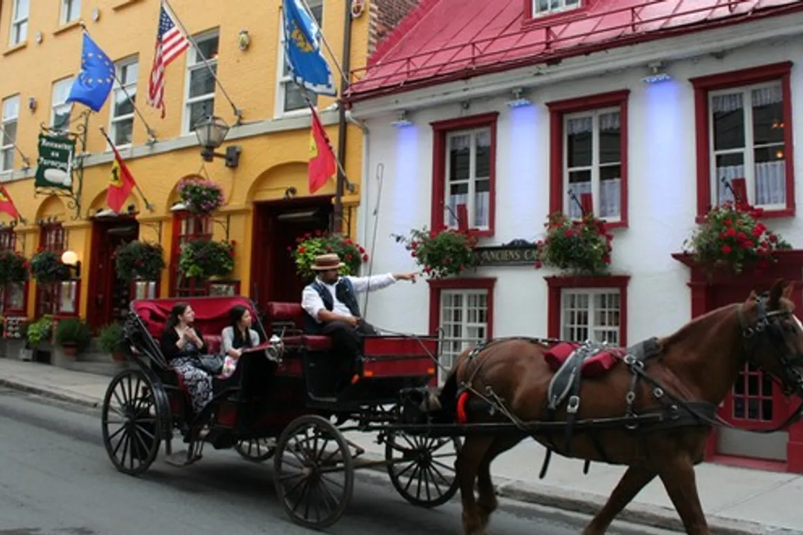 vieux quebec 2 120x100