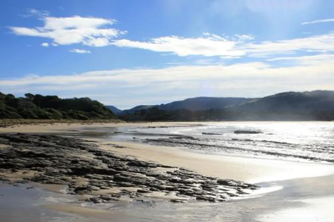 Catlins plage 120x100