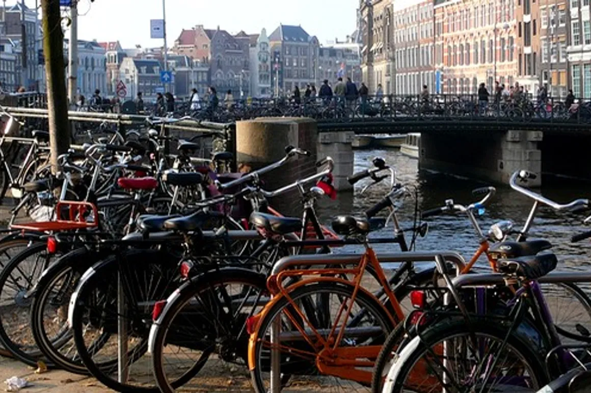 velo amsterdam 120x100