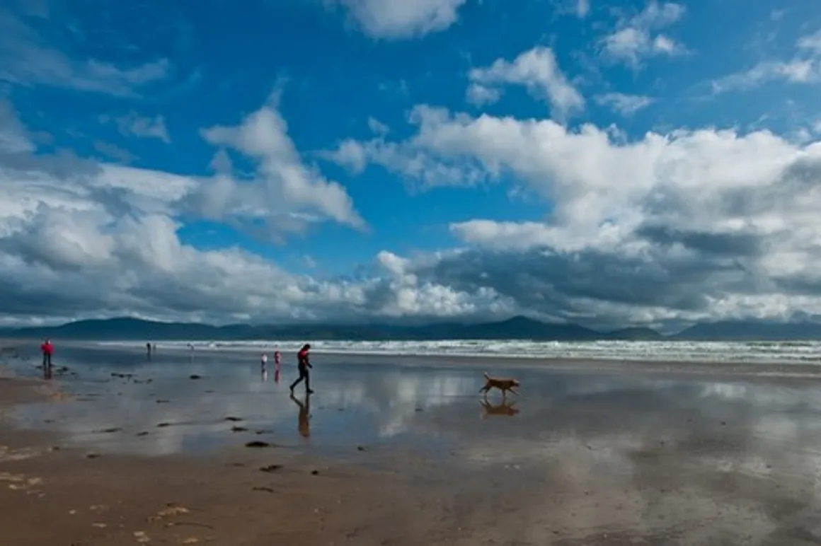 irlande 120x100