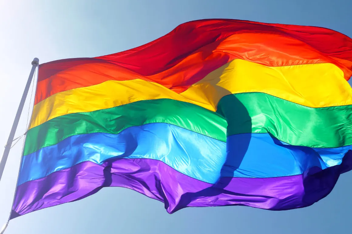 Drapeau LGBT iStock