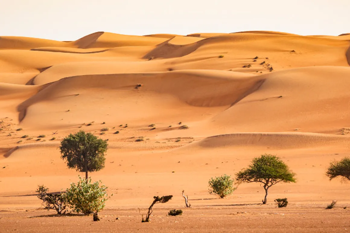 desert de Wahiba Sands Oman iStock Header