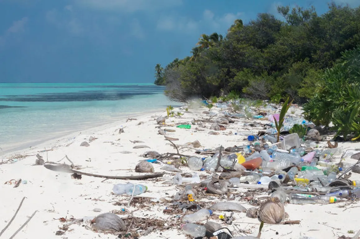 Maldive plage
